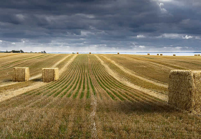 Unión de Uniones señala que el campo no se puede parar, aunque se convoquen elecciones