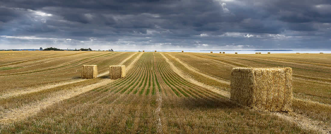 Unión de Uniones señala que el campo no se puede parar, aunque se convoquen elecciones