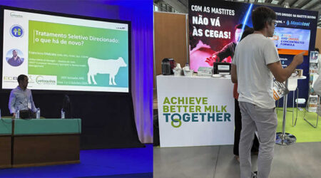 Vetoquinol comparte su experiencia en Tratamiento Selectivo Dirigido de la mastitis durante las Jornadas de la Asociación de Buiatría de Portugal
